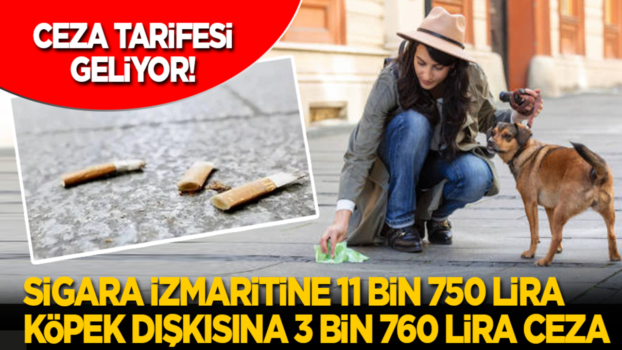 Ceza tarifesi geliyor! Sigara izmaritine 11 bin 750 lira, köpek dışkısına 3 bin 760 lira ceza
