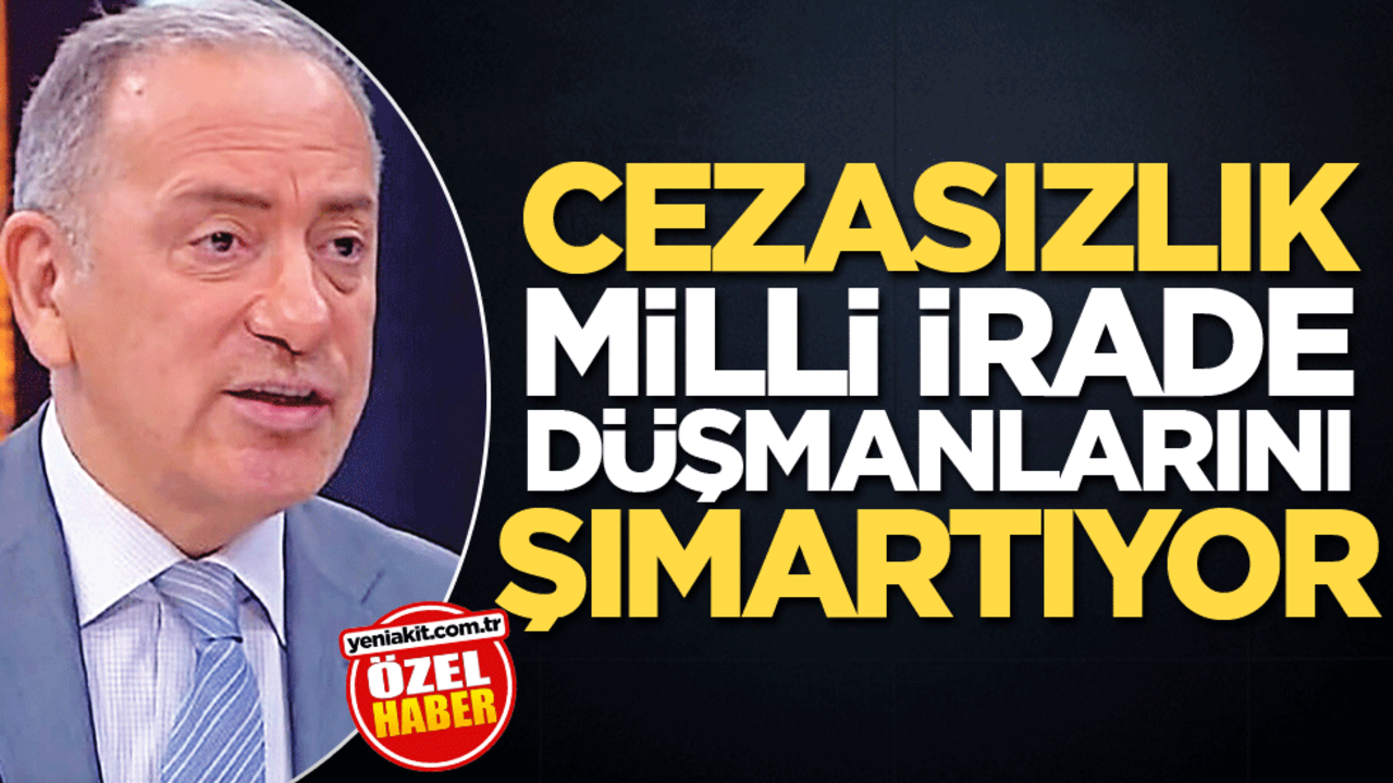 Cezasızlık, milli irade düşmanlarını şımartıyor