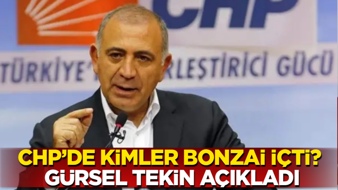 CHP’de kimler bonzai içti? Gürsel Tekin açıkladı