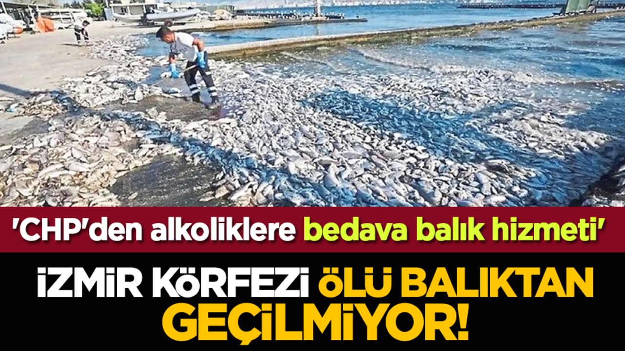'CHP'den alkoliklere bedava balık hizmeti' İzmir Körfezi ölü balıktan geçilmiyor!