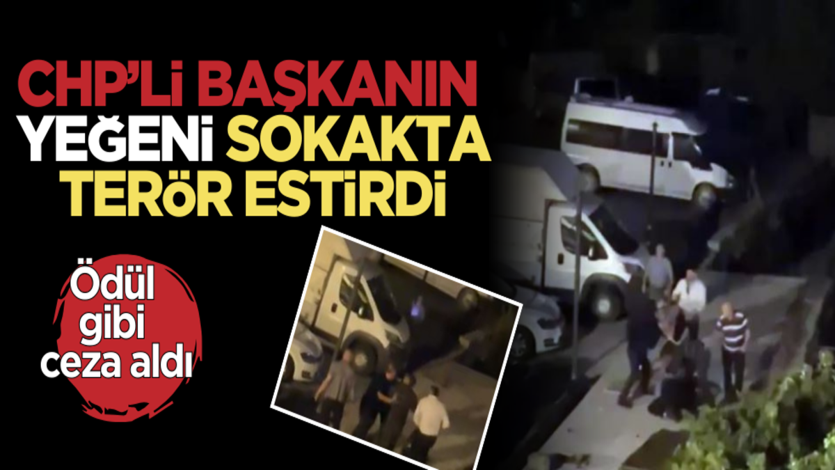 CHP’li başkanın yeğeni sokakta terör estirdi! Ödül gibi ceza aldı