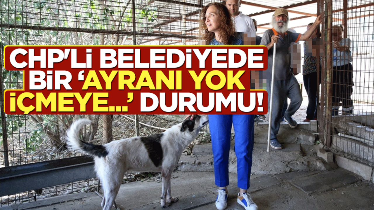 CHP'li belediyede bir "ayranı yok içmeye..." durumu!