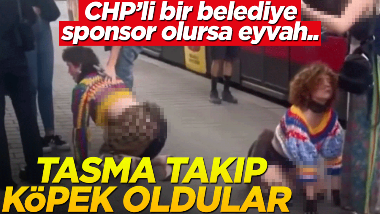 CHP’li bir belediye sponsor olursa eyvah… Almanya’da köpek vergisine karşı eylem: Tasma takıp, köpek oldular