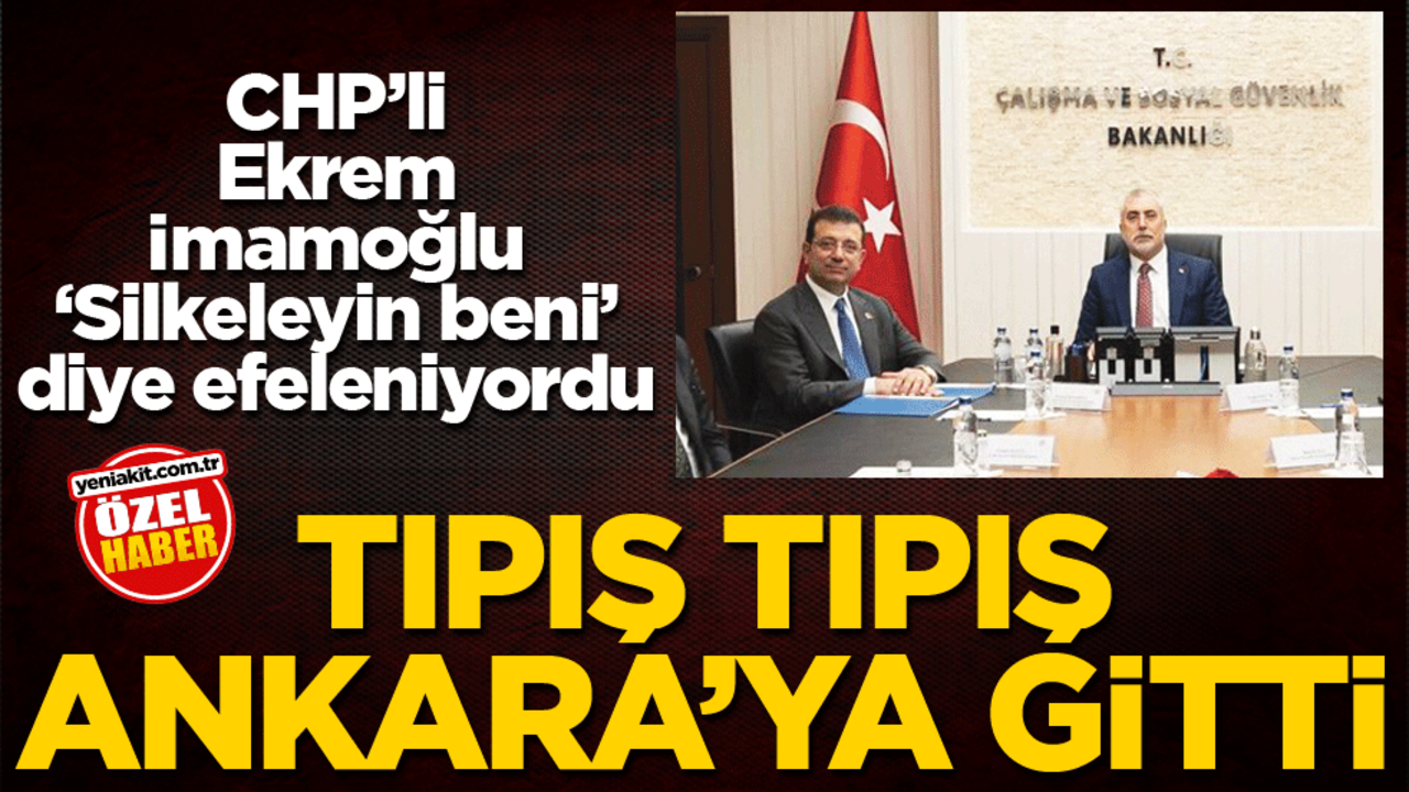 CHP’li Ekrem İmamoğlu ‘Silkeleyin beni’ diye efeleniyordu! Tıpış tıpış Ankara'ya gitti