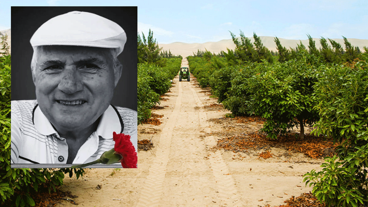 CHP’li eski belediye başkanı avokado bahçesinde ölü bulundu