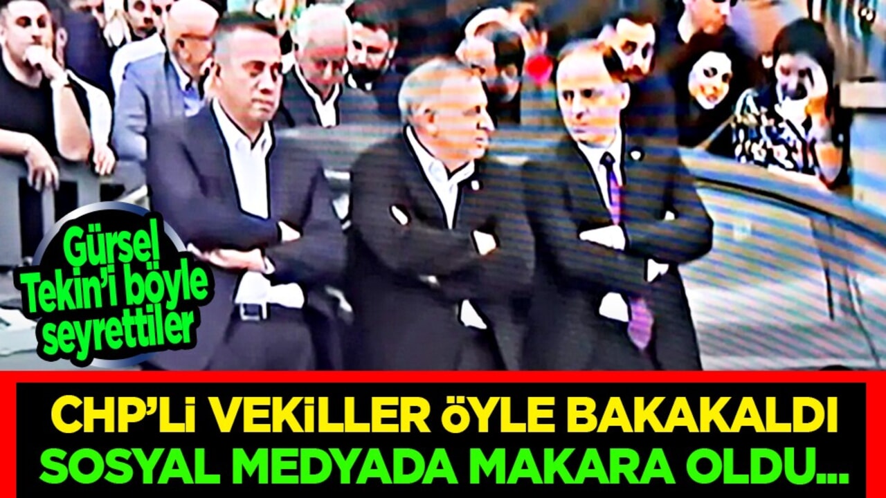 CHP’liler bunu beklemiyordu işte: CHP'li vekillerin kayyum nöbeti işe yaramadı: Flaş haber az önce geldi