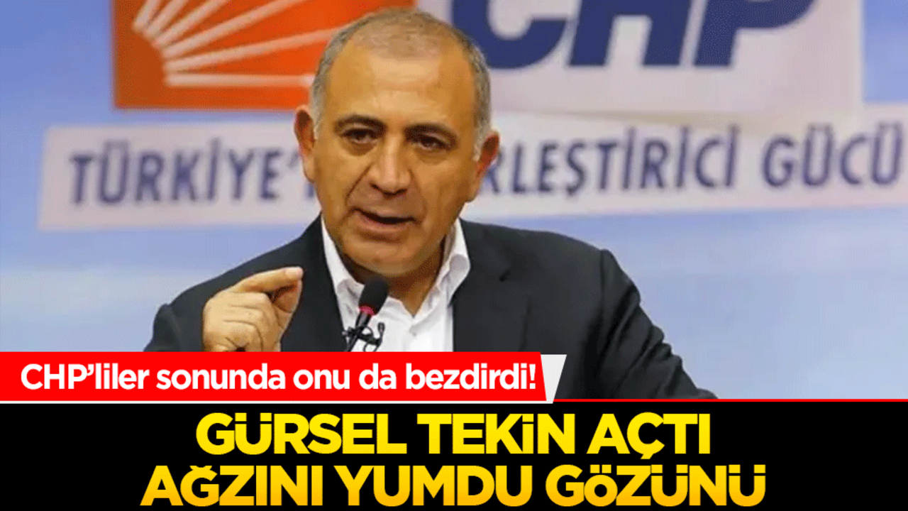 CHP’liler sonunda onu da bezdirdi! Gürsel Tekin açtı ağzını yumdu gözünü
