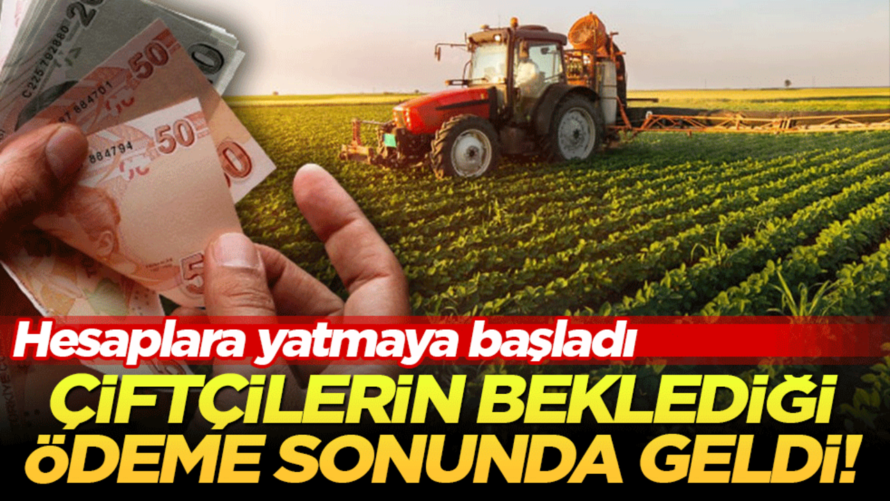Çiftçilerin beklediği ödeme sonunda geldi! Hesaplara yatmaya başladı