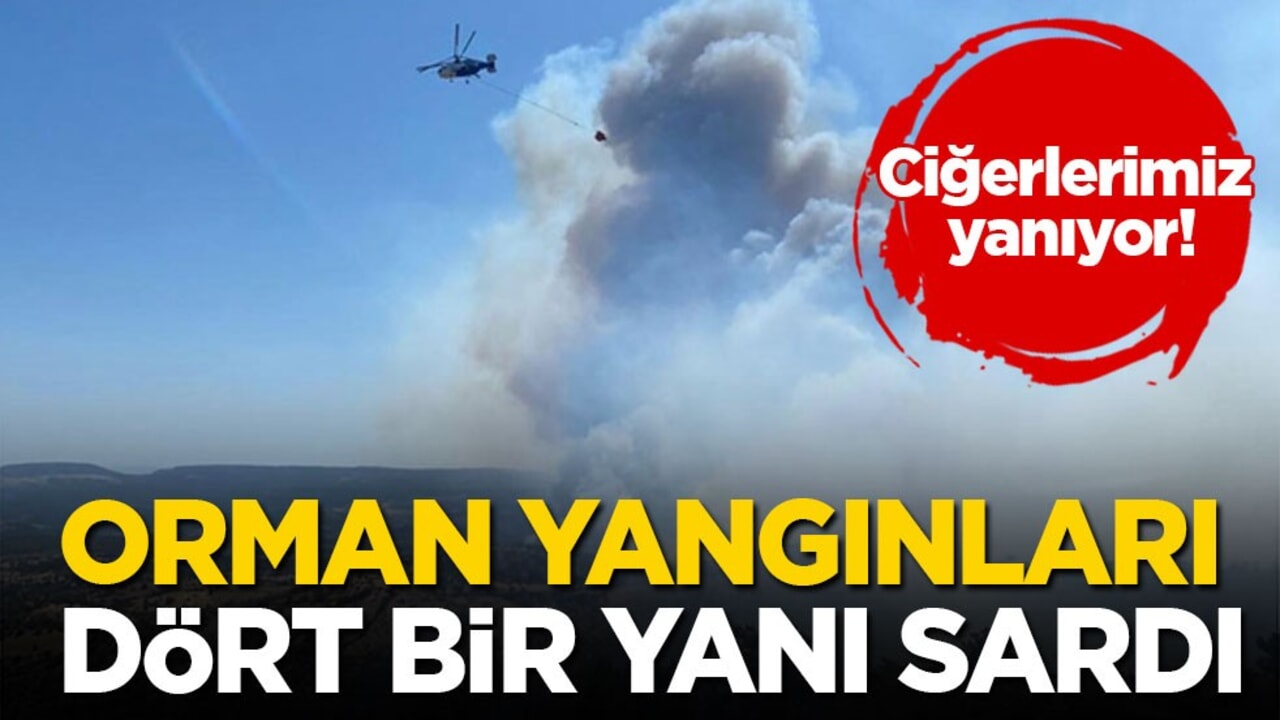 Ciğerlerimiz yanıyor! Orman yangınları yurdun dört bir yanını sardı