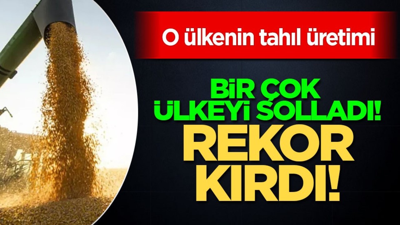 Çin 2024 yılı tahıl üretiminde birçok ülkeyi aşıp rekor kırdı! Gündeme bomba gibi düştü!