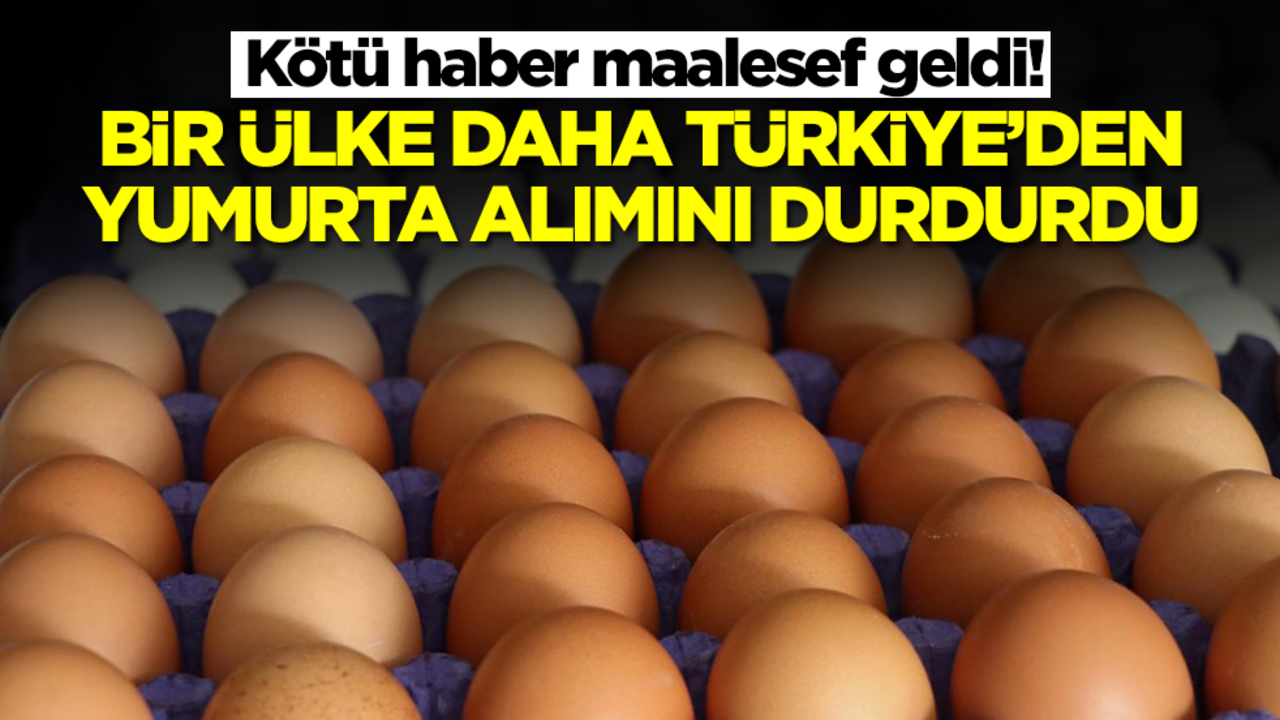 Çok kötü haber! Bir ülke daha Türkiye'den yumurta alımını durdurdu
