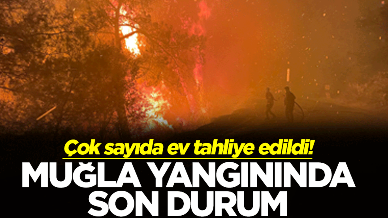 Çok sayıda ev tahliye edildi! Muğla yangınında son durum