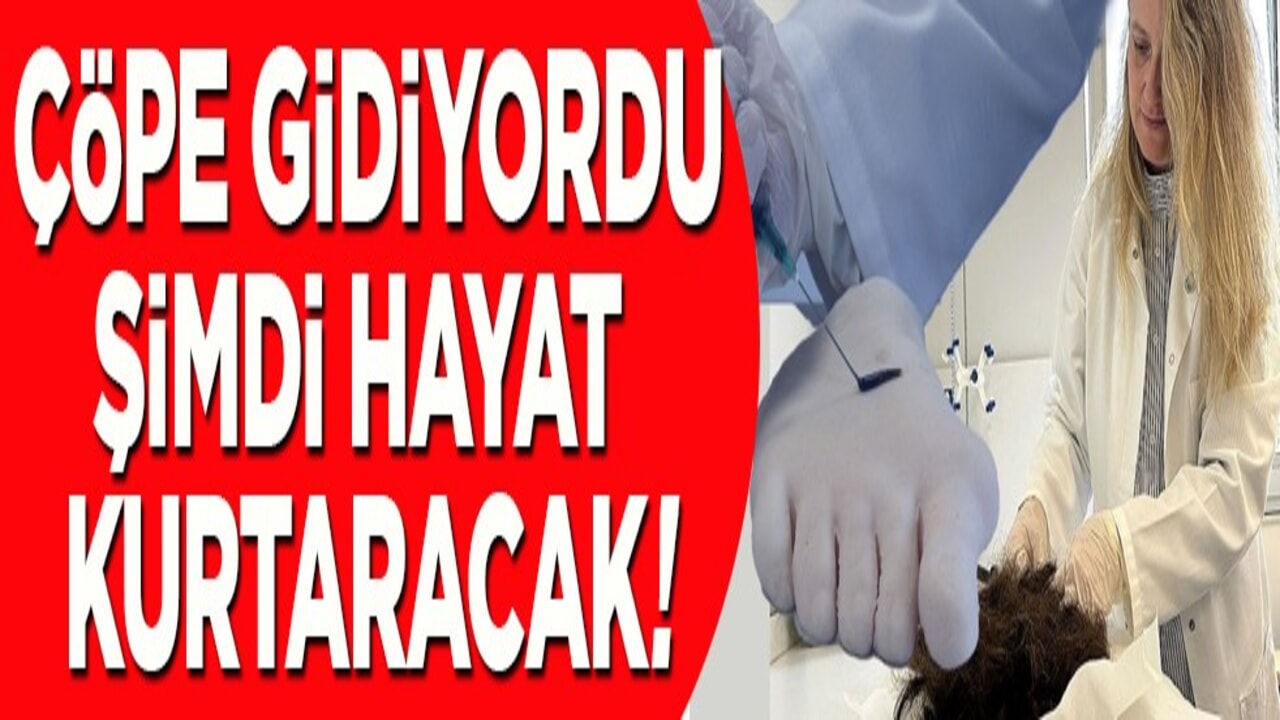 Çöpe gidiyordu şimdi hayat kurtaracak!