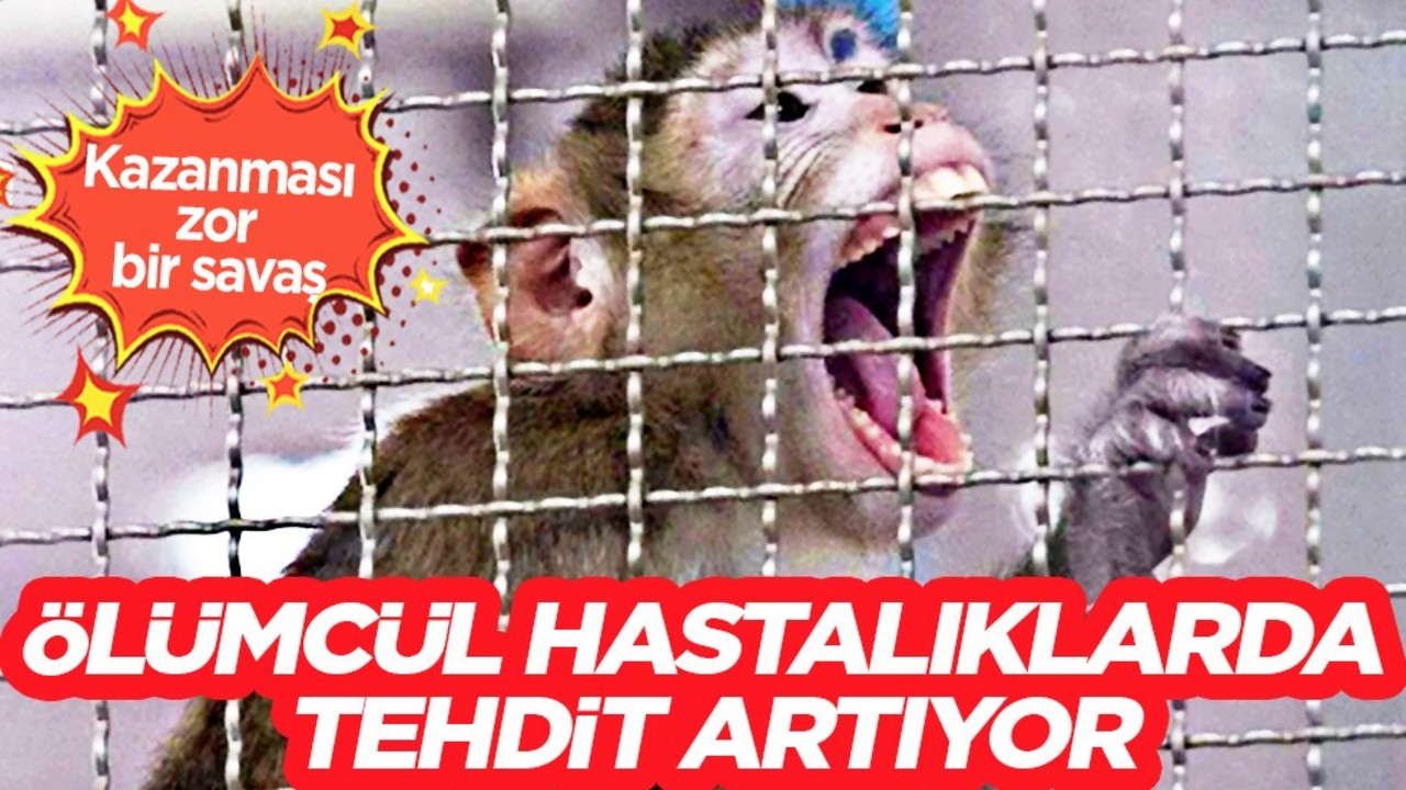 Covid, HMPV derken ABD’de yayılan virüs paniğe yol açtı: Ölümcül hastalık tehdit artıyor