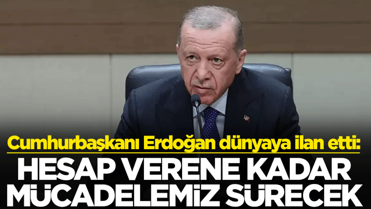 Cumhurbaşkanı Erdoğan dünyaya ilan etti: Hesap verene kadar mücadelemiz sürecek