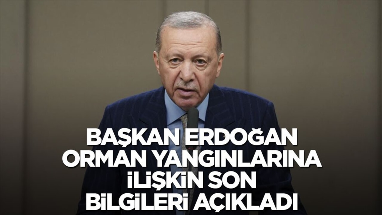 Cumhurbaşkanı Erdoğan orman yangınlarına ilişkin son bilgileri verdi! "3 bin 62 yangını söndürdük"