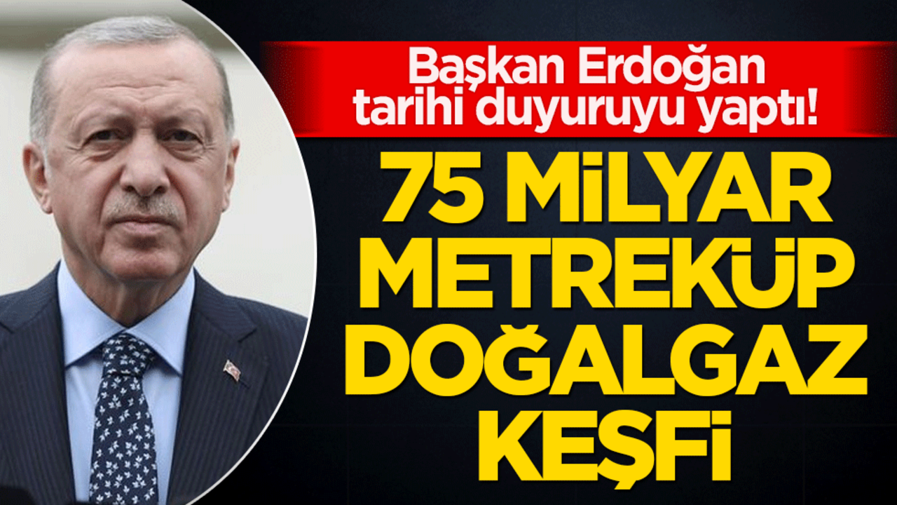 Cumhurbaşkanı Erdoğan'dan açıkladı! Doğal gaz keşfi müjdesi...