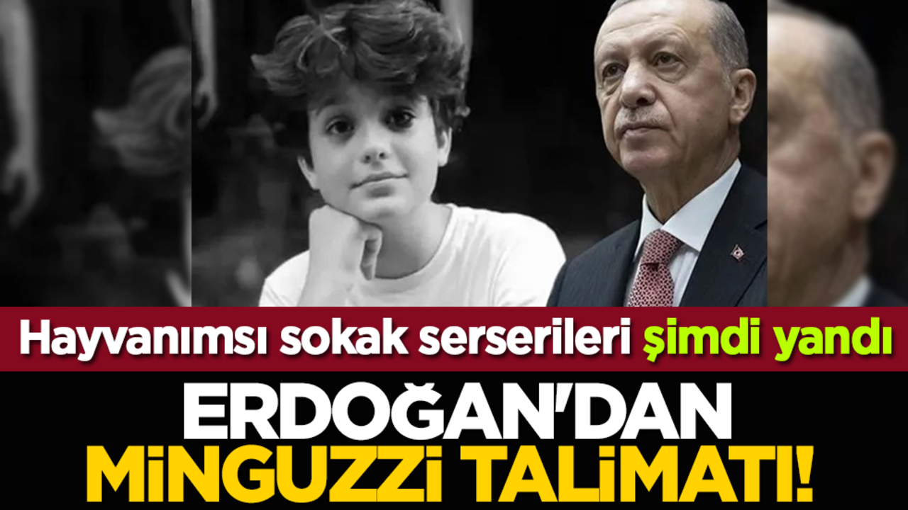 Cumhurbaşkanı Erdoğan'dan Ahmet Minguzzi talimatı! Sokak serserileri şimdi yandı