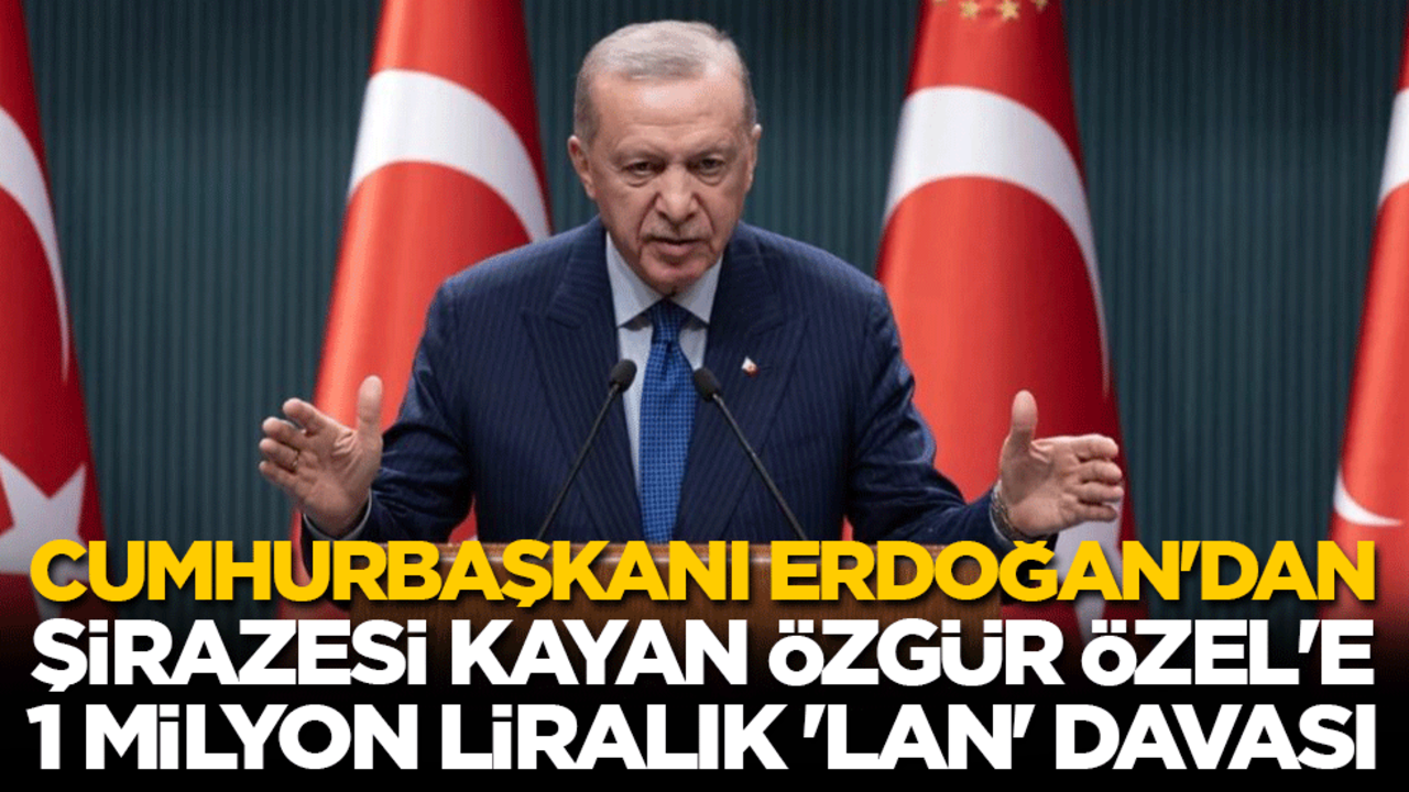Cumhurbaşkanı Erdoğan'dan Özgür Özel'e 1 milyonluk 'Lan' davası