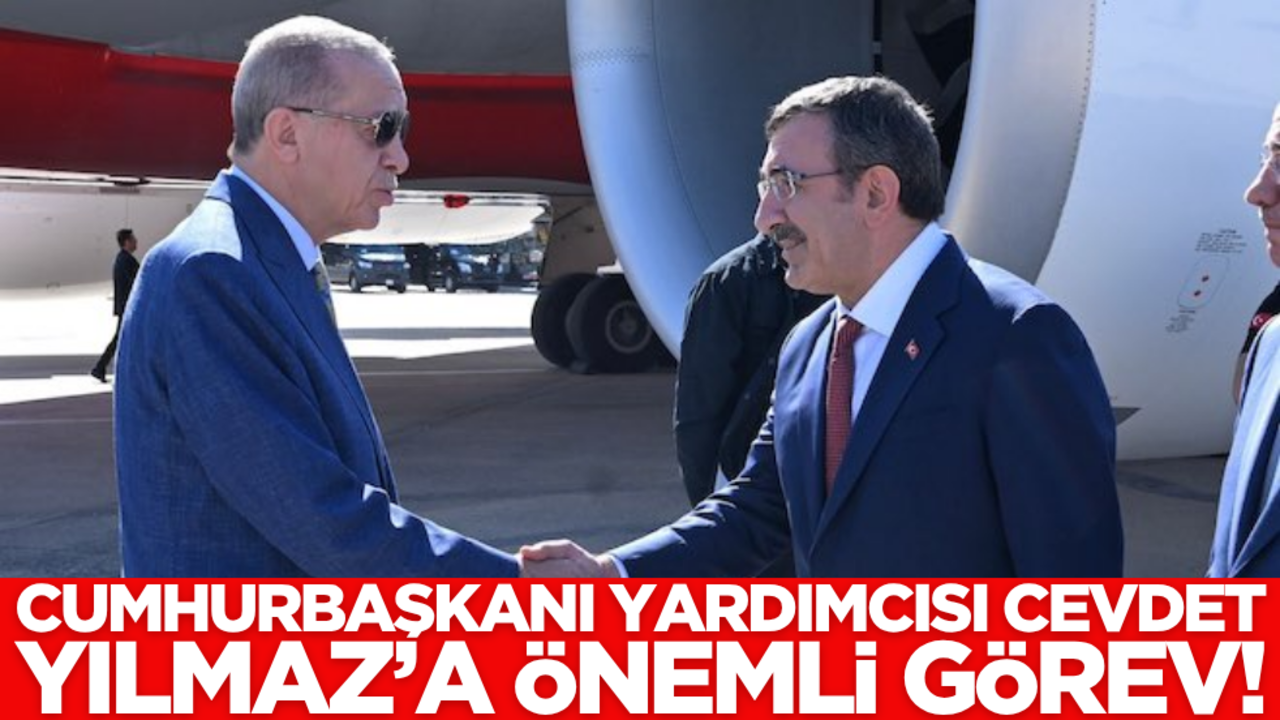 Cumhurbaşkanı Yardımcısı Cevdet Yılmaz'a önemli görev!