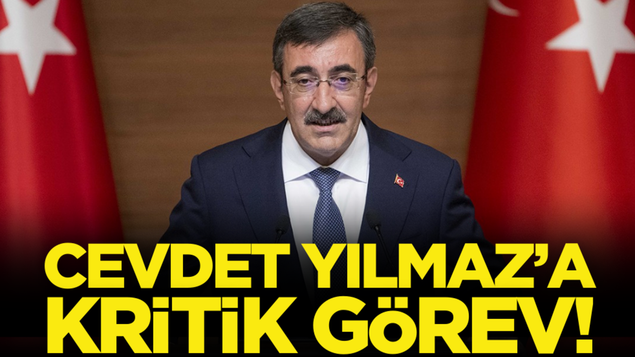 Cumhurbaşkanı Yardımcısı Cevdet Yılmaz’a kritik görev!