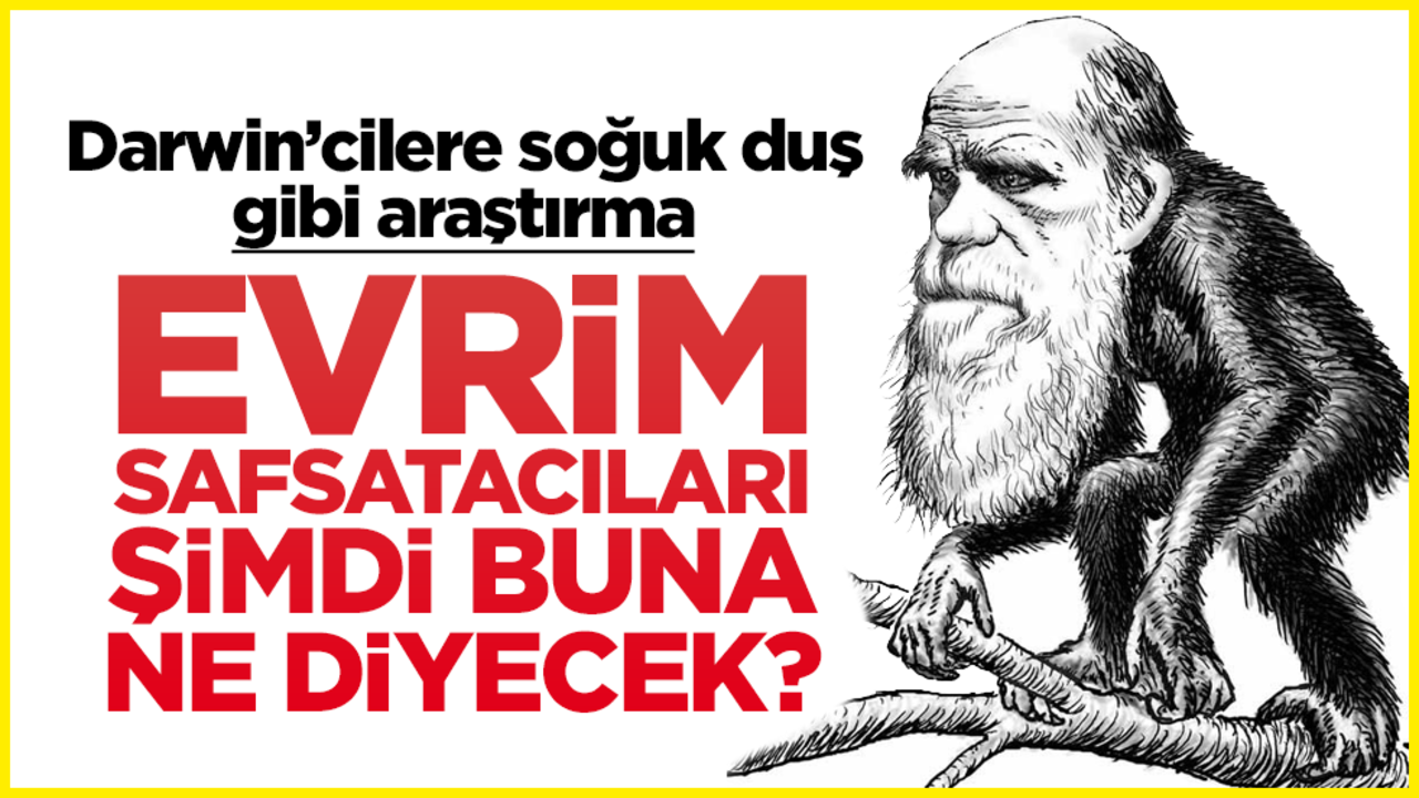 Darwin’cilere soğuk duş gibi araştırma! Evrim safsatacıları şimdi buna ne diyecek?