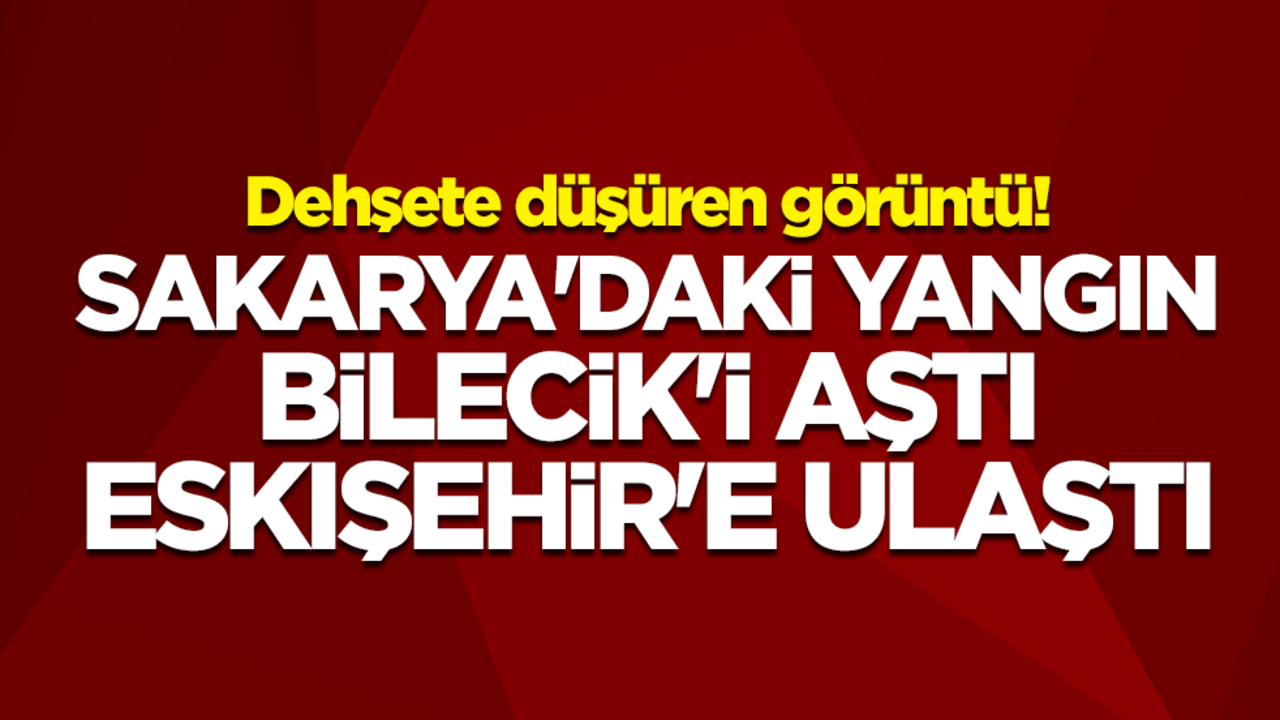 Dehşete düşüren görüntü! Sakarya'daki yangının etkisi Bilecik'i aştı Eskişehir'e ulaştı