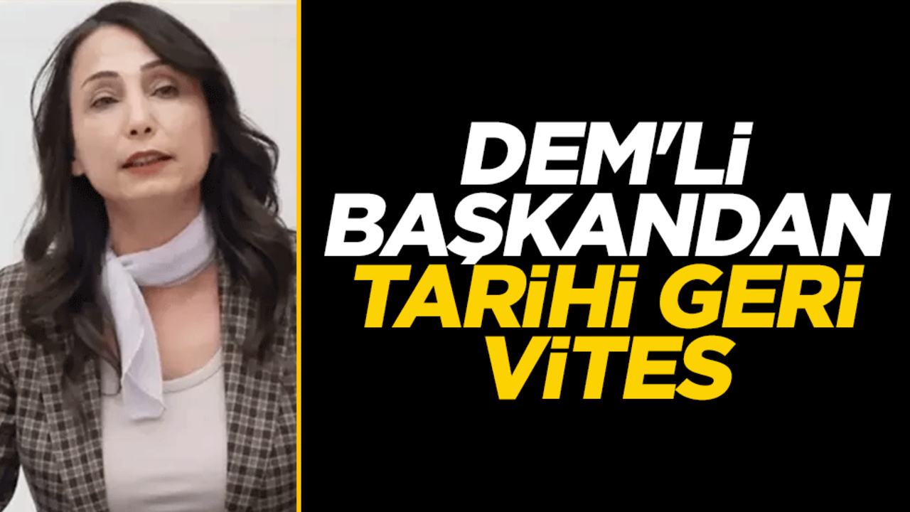 DEM'li Hatimoğulları'ndan tarihi geri vites