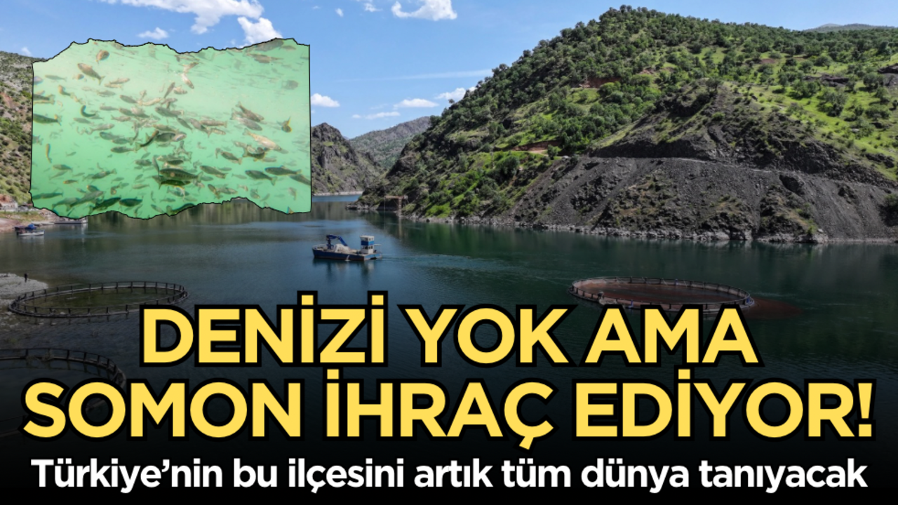 Denizi yok ama somon ihraç ediyor! Türkiye’nin bu ilçesini artık tüm dünya tanıyacak!