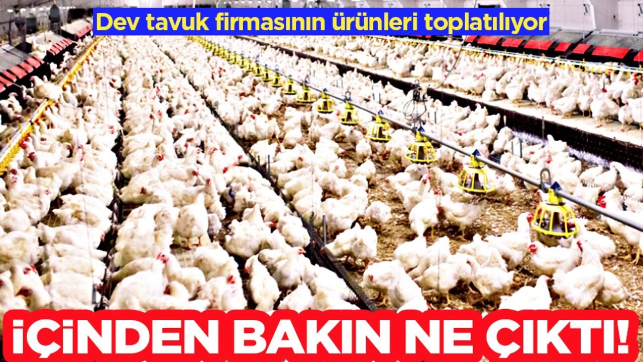Dev tavuk fimasının ürünleri toplatılıyor: İçinden bakın ne çıktı! Hakkında karar verildi