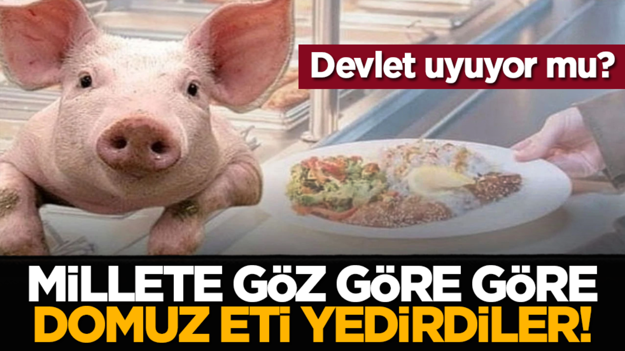 Devlet uyuyor mu? Millete göz göre göre domuz eti yedirdiler!