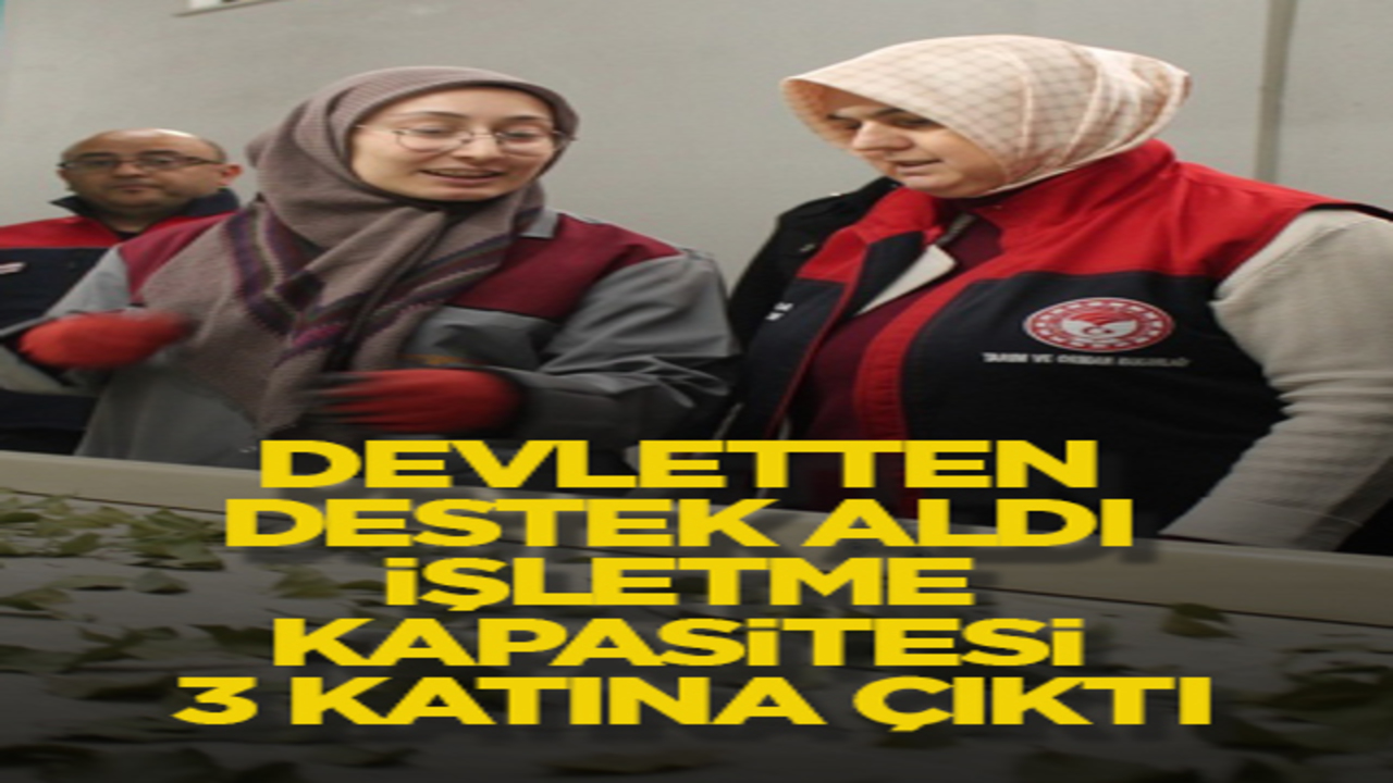Devletten destek aldı işletme kapasitesi 3 katına çıktı