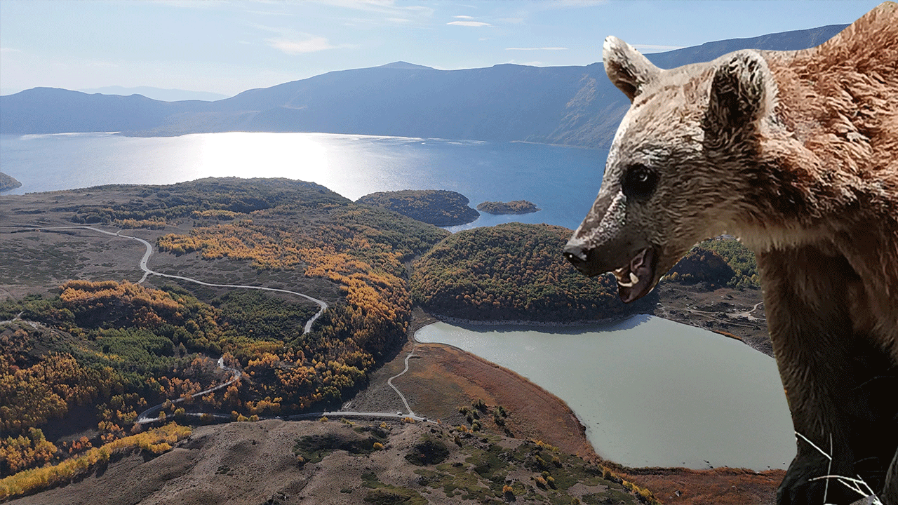 Dikkat! Valilikten piknikçilere 'bozayı' uyarısı: Can güvenliği tehlikesi var!