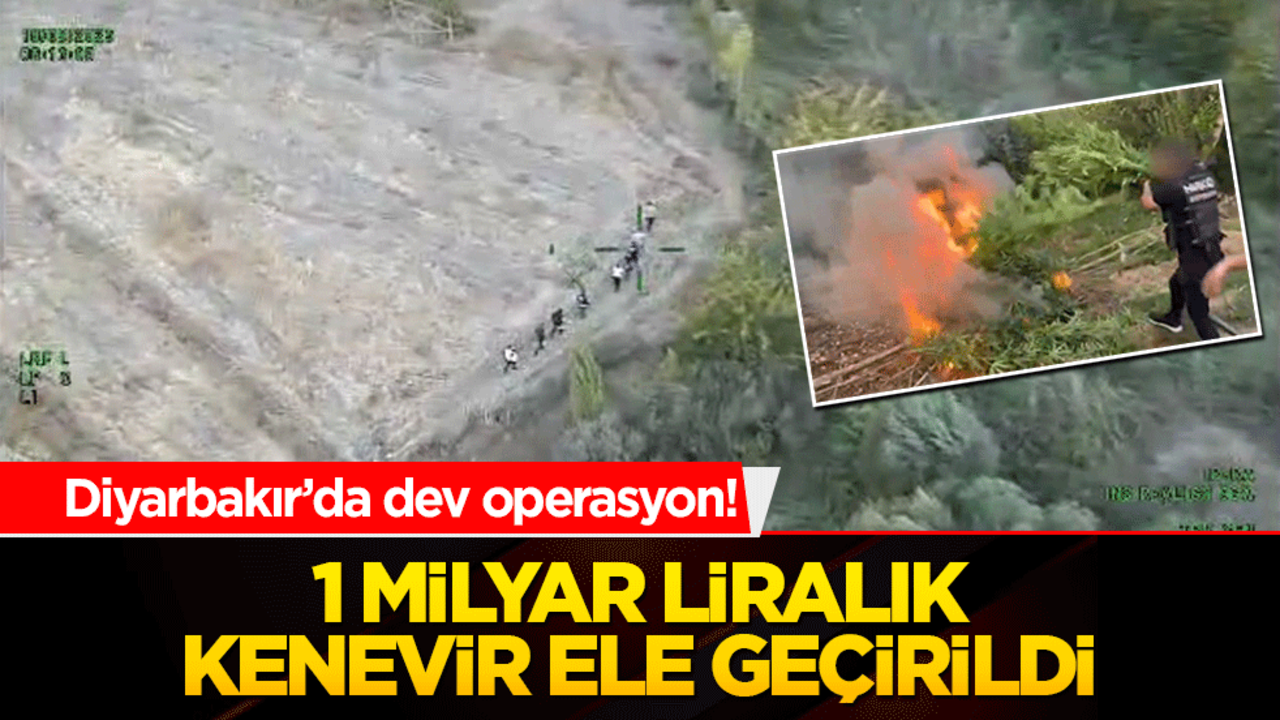 Diyarbakır’da dev operasyon! 1 milyar liralık kenevir ele geçirildi