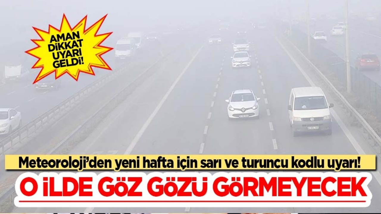 Diyarbakır’da yoğun sis etkili! Meteoroloji’den ülkenin farklı yerlerine acil kodlu uyarı: Hava nasıl olacak?