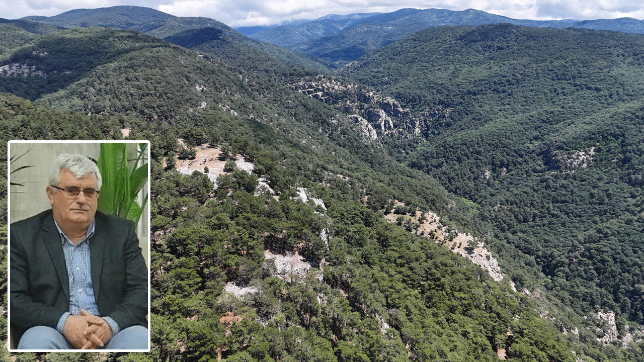 Doğa yürüyüşünde kaybolmuştu! Çevre ve Şehircilik İl Müdür Yardımcısını 100 kişilik ekip arıyor!