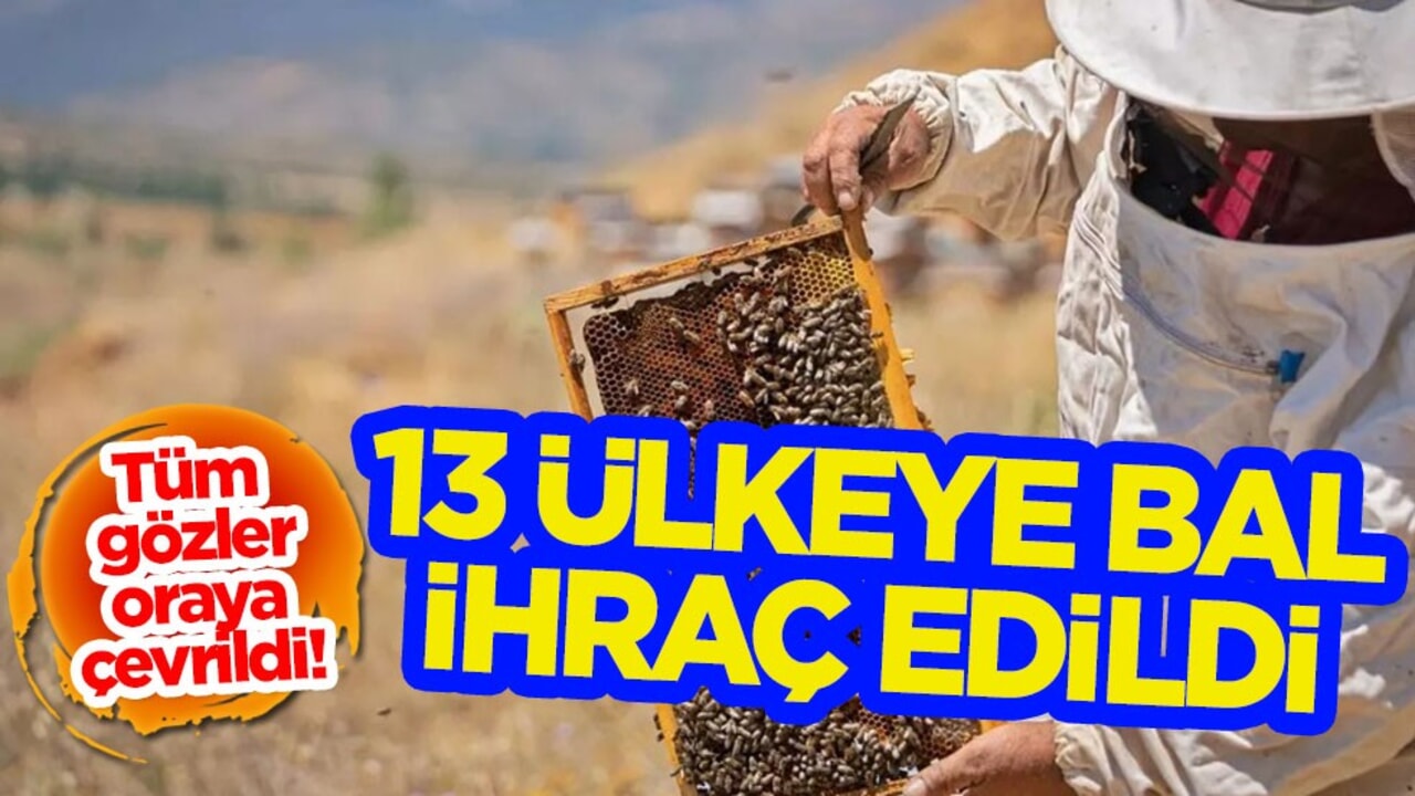 Suudi Arabistan peşindeydi! Doğu Karadeniz balı dünyaya nam saldı: 13 ülkeye bal ihraç edildi