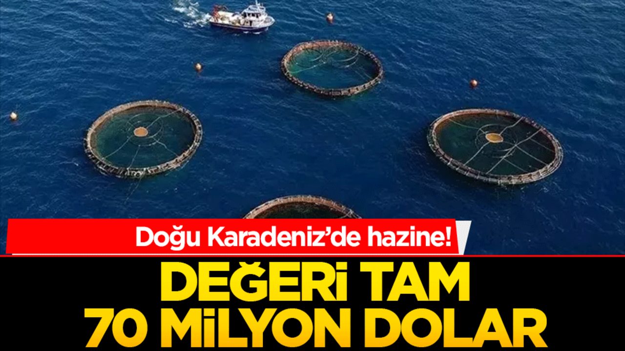 Doğu Karadeniz’de hazine bulundu! Değeri tam 70 milyon dolar