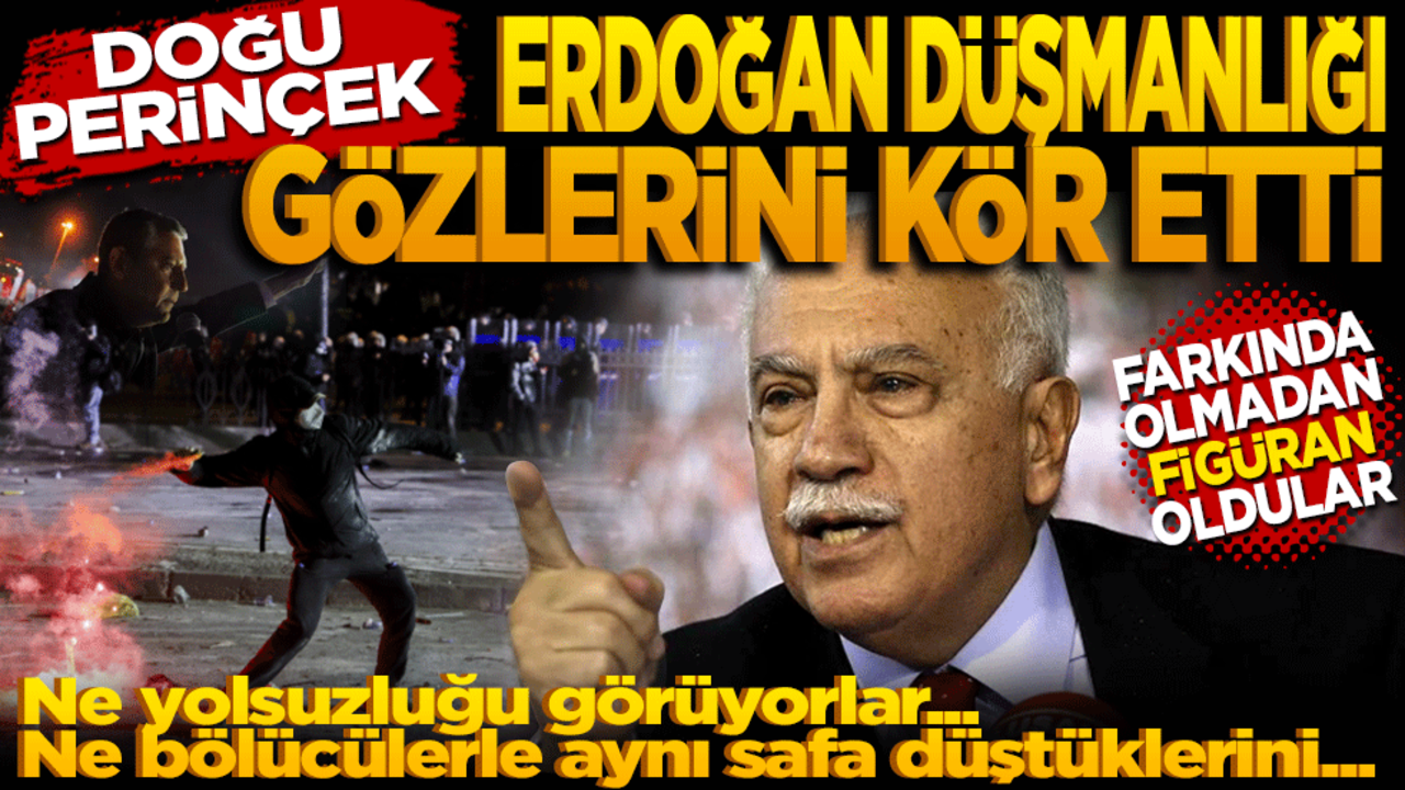 Doğu Perinçek: ‘Erdoğan düşmanlığı gözlerini kör etti’ Doğu Perinçek: Farkında olmadan figüran oldular
