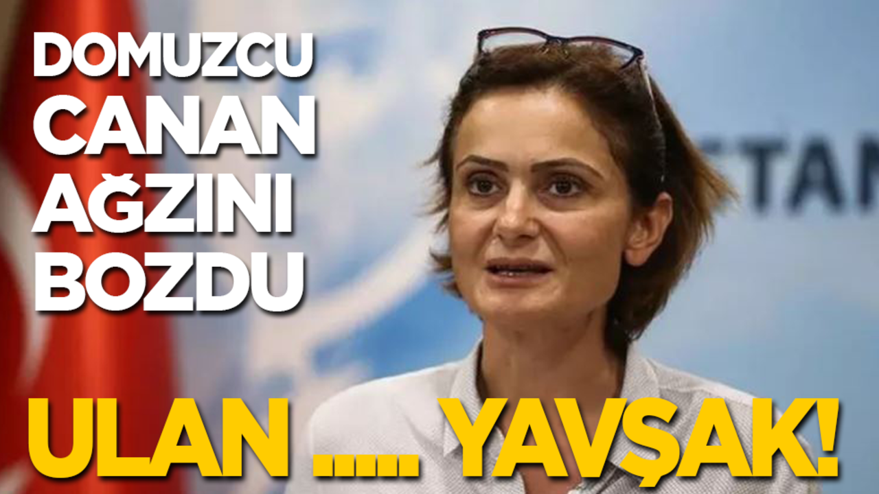 Domuzcu Canan ağzını bozdu: Ulan ...... yavşak!