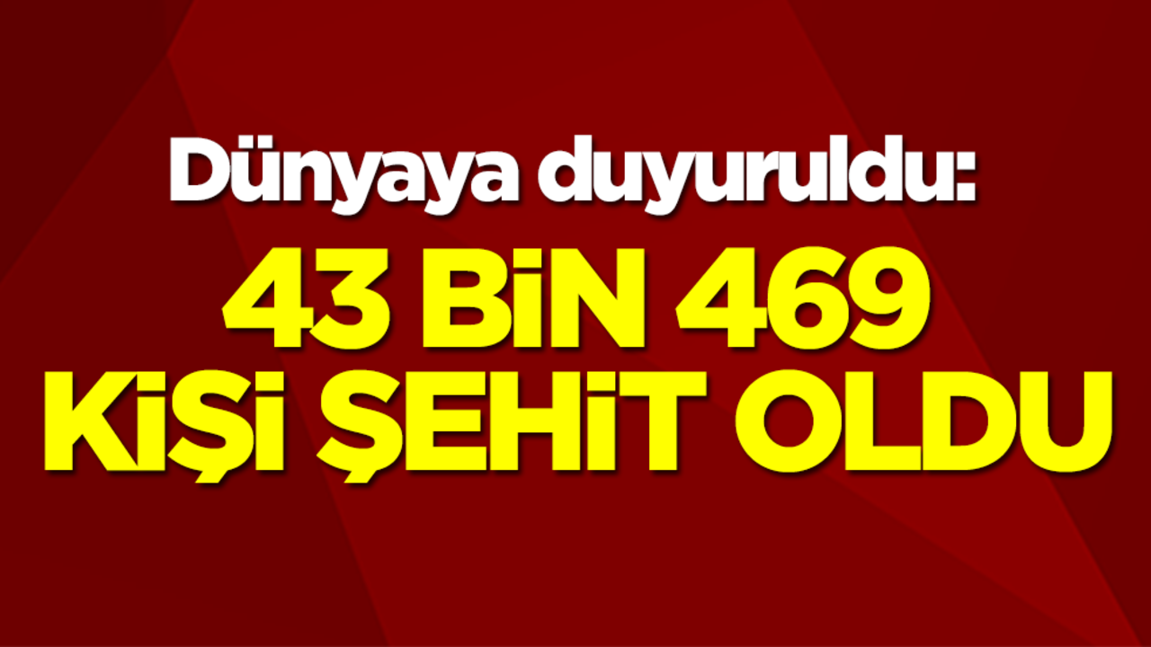Dünyaya duyuruldu: 43 bin 469 kişi şehit oldu