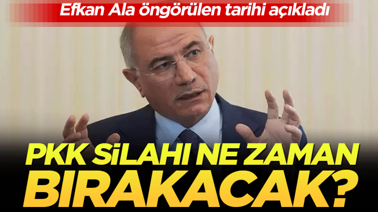 Efkan Ala öngörülen tarihi açıkladı! PKK silahı ne zaman bırakacak!