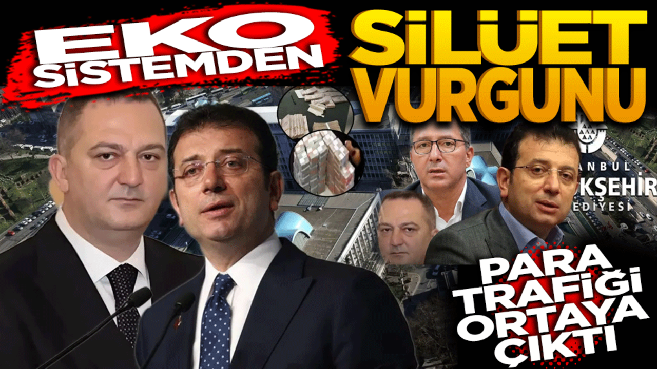 Ekosistem’den silüet vurgunu! Para trafiği ortaya çıktı