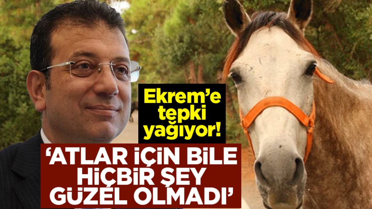 Ekrem’e tepki yağıyor! 'Atlar için bile hiçbir şey güzel olmadı'