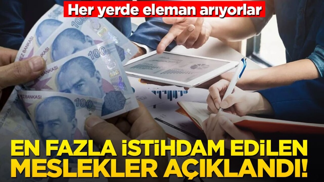 En fazla istihdam edilen meslekler açıklandı! Her yerde eleman arıyorlar