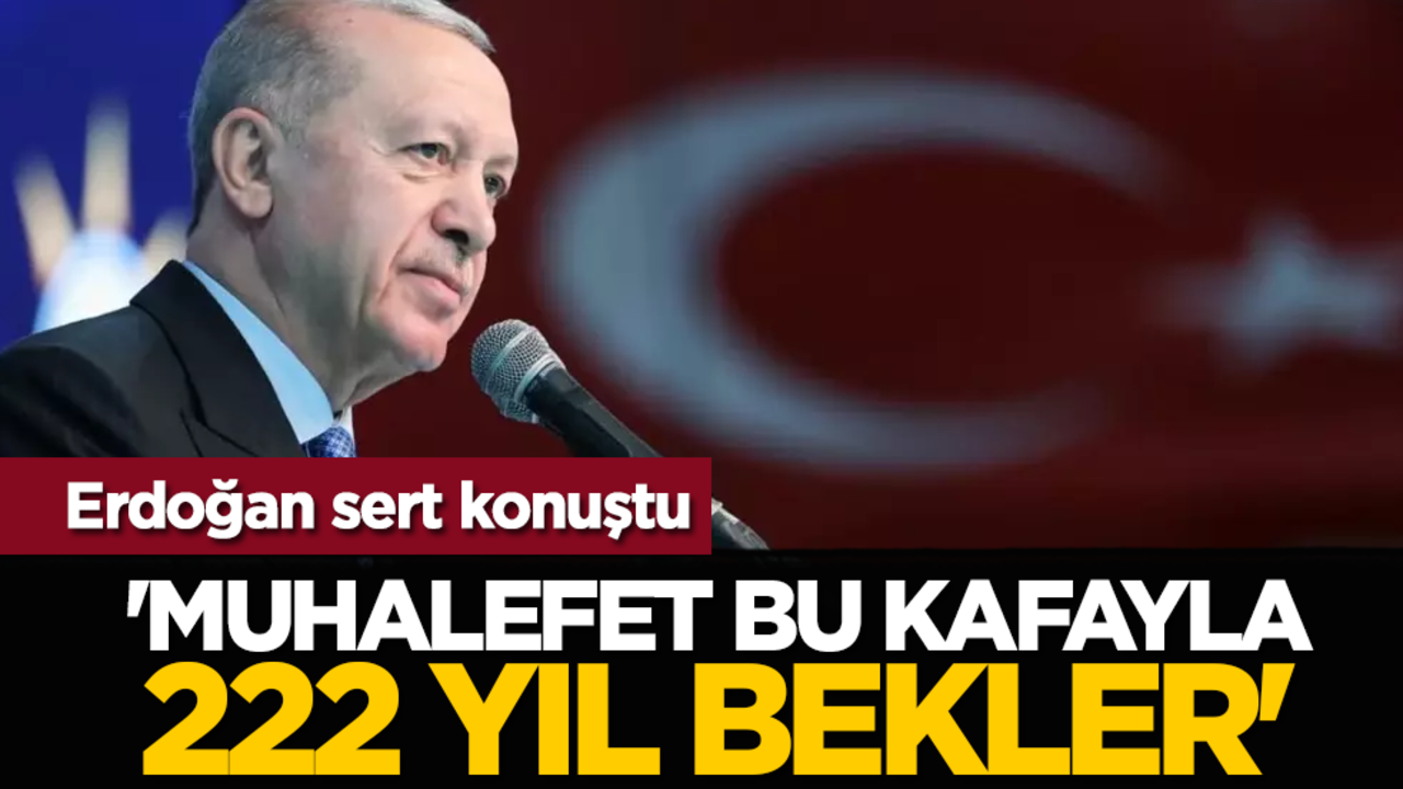 Erdoğan sert konuştu: 'Muhalefet bu kafayla 222 yıl bekler'