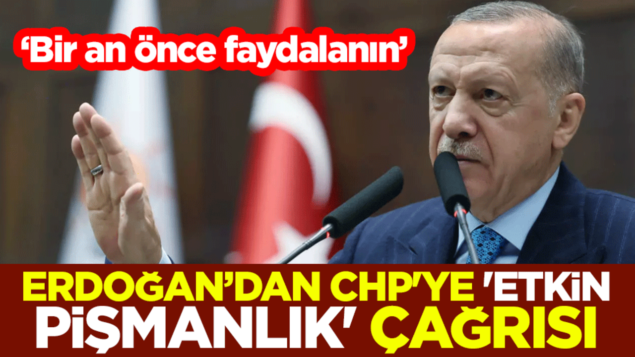 Erdoğan'dan CHP'ye 'etkin pişmanlık' çağrısı: Bir an önce faydalanın