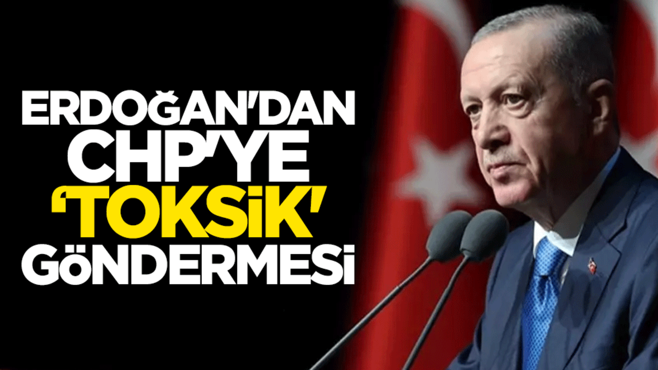 Erdoğan'dan CHP'ye ‘toksik' göndermesi