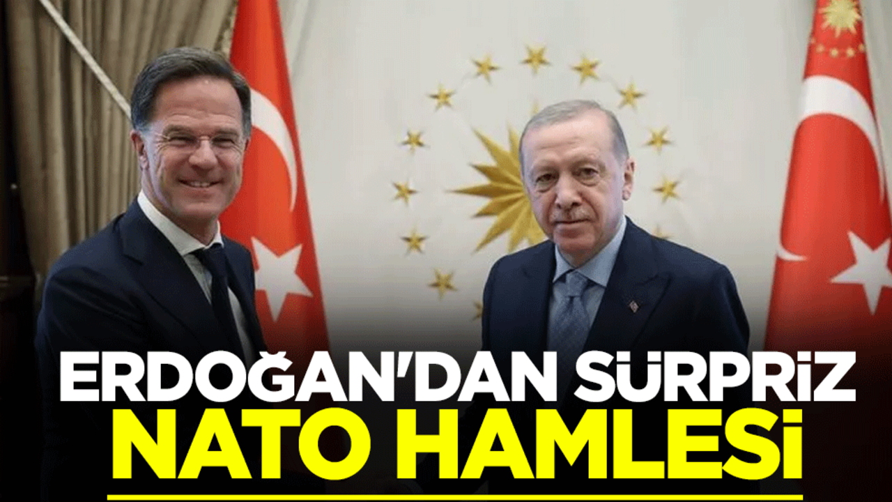 Erdoğan'dan sürpriz NATO hamlesi
