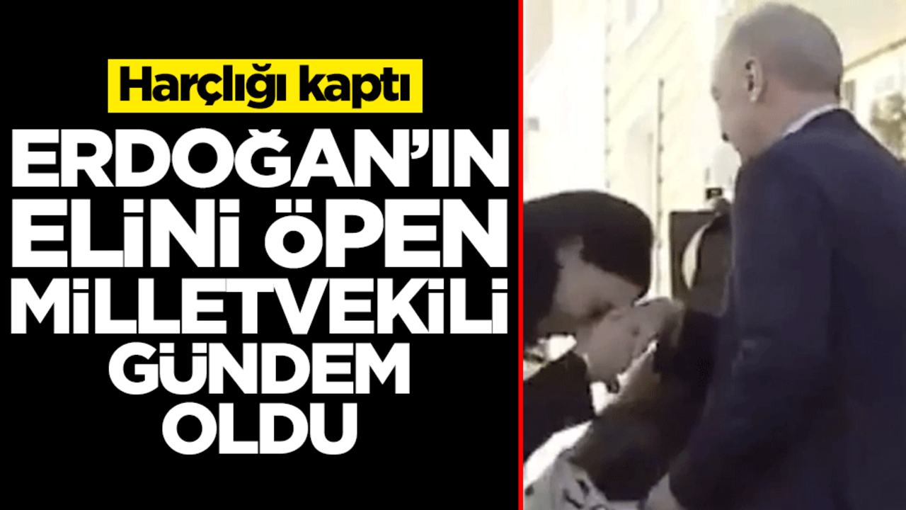 Erdoğan'ın elini öpen milletvekili gündem oldu! Harçlığı kaptı